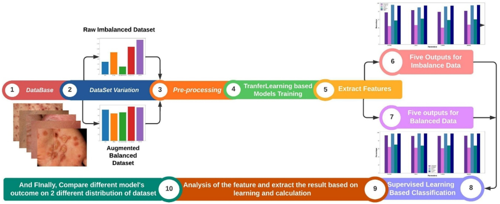 Skin Disease Research Diagram